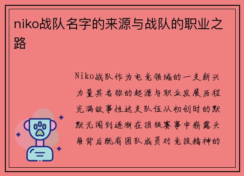 niko战队名字的来源与战队的职业之路