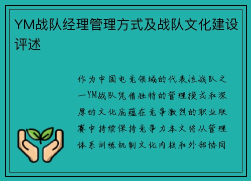 YM战队经理管理方式及战队文化建设评述